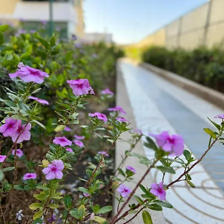 Apartament Sol, Piscina Y Playa Tus Vacaciones Maspalomas (Gran Canaria)