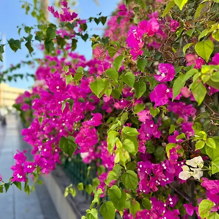 Sol, Piscina Y Playa Tus Vacaciones Maspalomas (Gran Canaria)